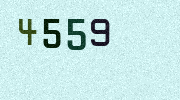 Visual Confirmation Security Code