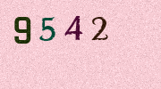 Visual Confirmation Security Code
