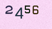 Visual Confirmation Security Code