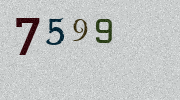 Visual Confirmation Security Code