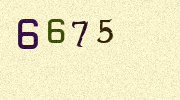 Visual Confirmation Security Code