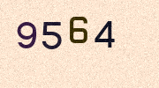 Visual Confirmation Security Code