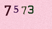 Visual Confirmation Security Code