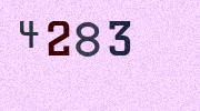 Visual Confirmation Security Code