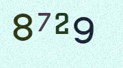 Visual Confirmation Security Code
