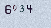 Visual Confirmation Security Code