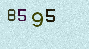 Visual Confirmation Security Code