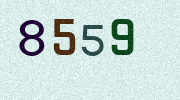 Visual Confirmation Security Code