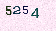 Visual Confirmation Security Code