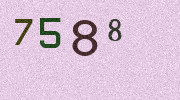 Visual Confirmation Security Code