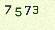 Visual Confirmation Security Code
