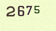 Visual Confirmation Security Code