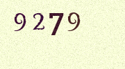 Visual Confirmation Security Code