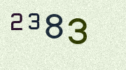 Visual Confirmation Security Code