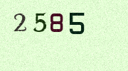 Visual Confirmation Security Code
