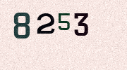 Visual Confirmation Security Code