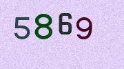 Visual Confirmation Security Code