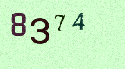 Visual Confirmation Security Code