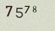 Visual Confirmation Security Code