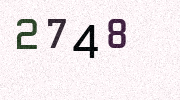 Visual Confirmation Security Code