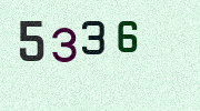 Visual Confirmation Security Code