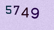 Visual Confirmation Security Code