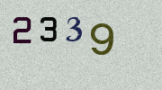 Visual Confirmation Security Code