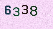 Visual Confirmation Security Code