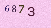 Visual Confirmation Security Code