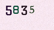 Visual Confirmation Security Code