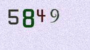 Visual Confirmation Security Code