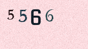 Visual Confirmation Security Code