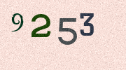 Visual Confirmation Security Code