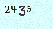 Visual Confirmation Security Code