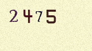 Visual Confirmation Security Code