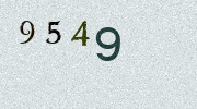 Visual Confirmation Security Code
