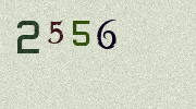 Visual Confirmation Security Code