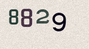 Visual Confirmation Security Code