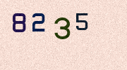 Visual Confirmation Security Code
