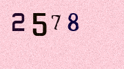 Visual Confirmation Security Code