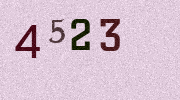Visual Confirmation Security Code