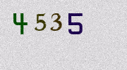 Visual Confirmation Security Code
