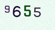 Visual Confirmation Security Code