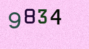 Visual Confirmation Security Code