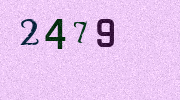 Visual Confirmation Security Code