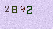 Visual Confirmation Security Code