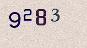 Visual Confirmation Security Code