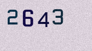 Visual Confirmation Security Code
