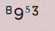 Visual Confirmation Security Code