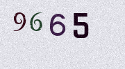 Visual Confirmation Security Code
